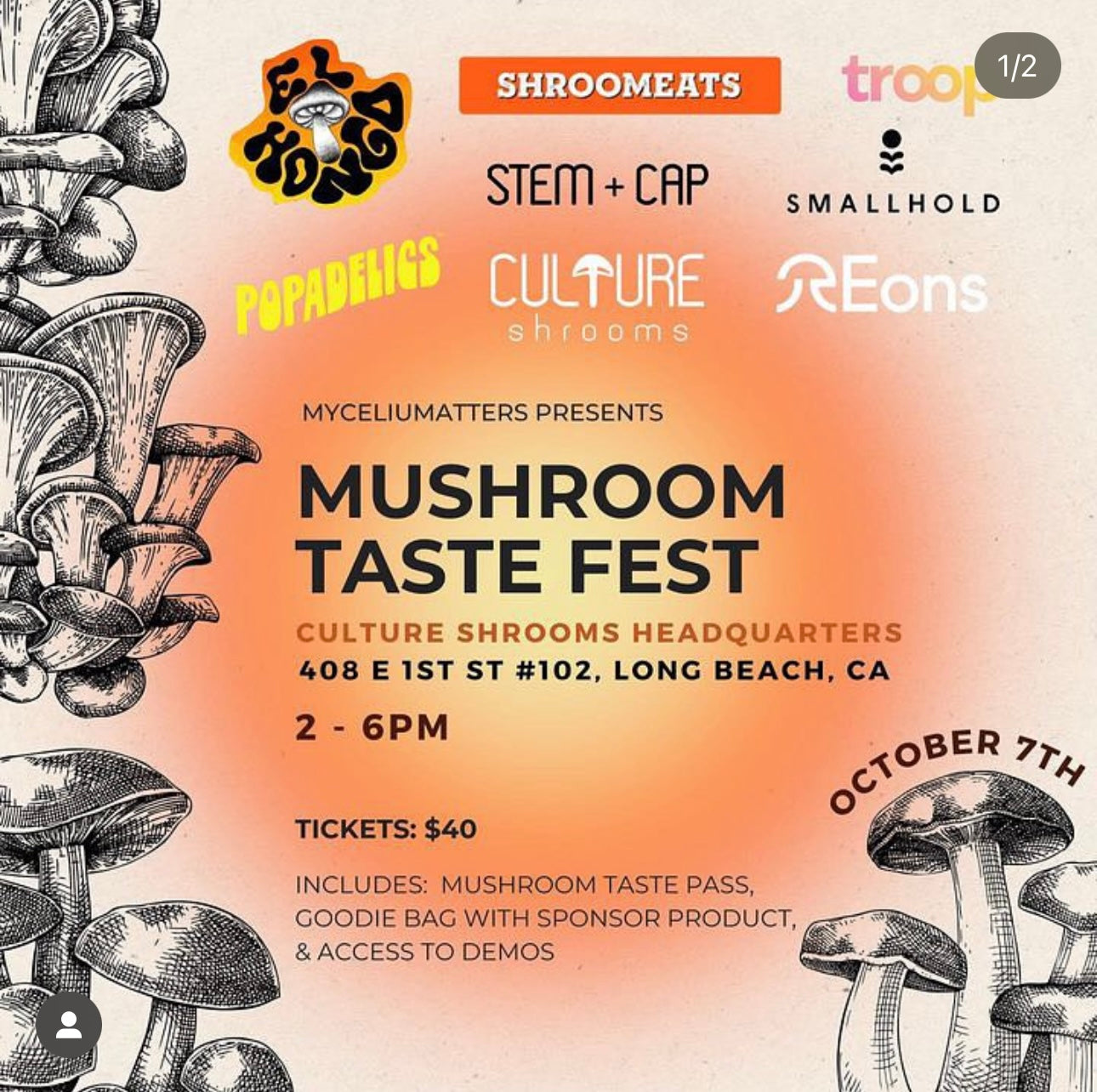 Mushroom Taste Fest: A Flavorful Afternoon in Long Beach