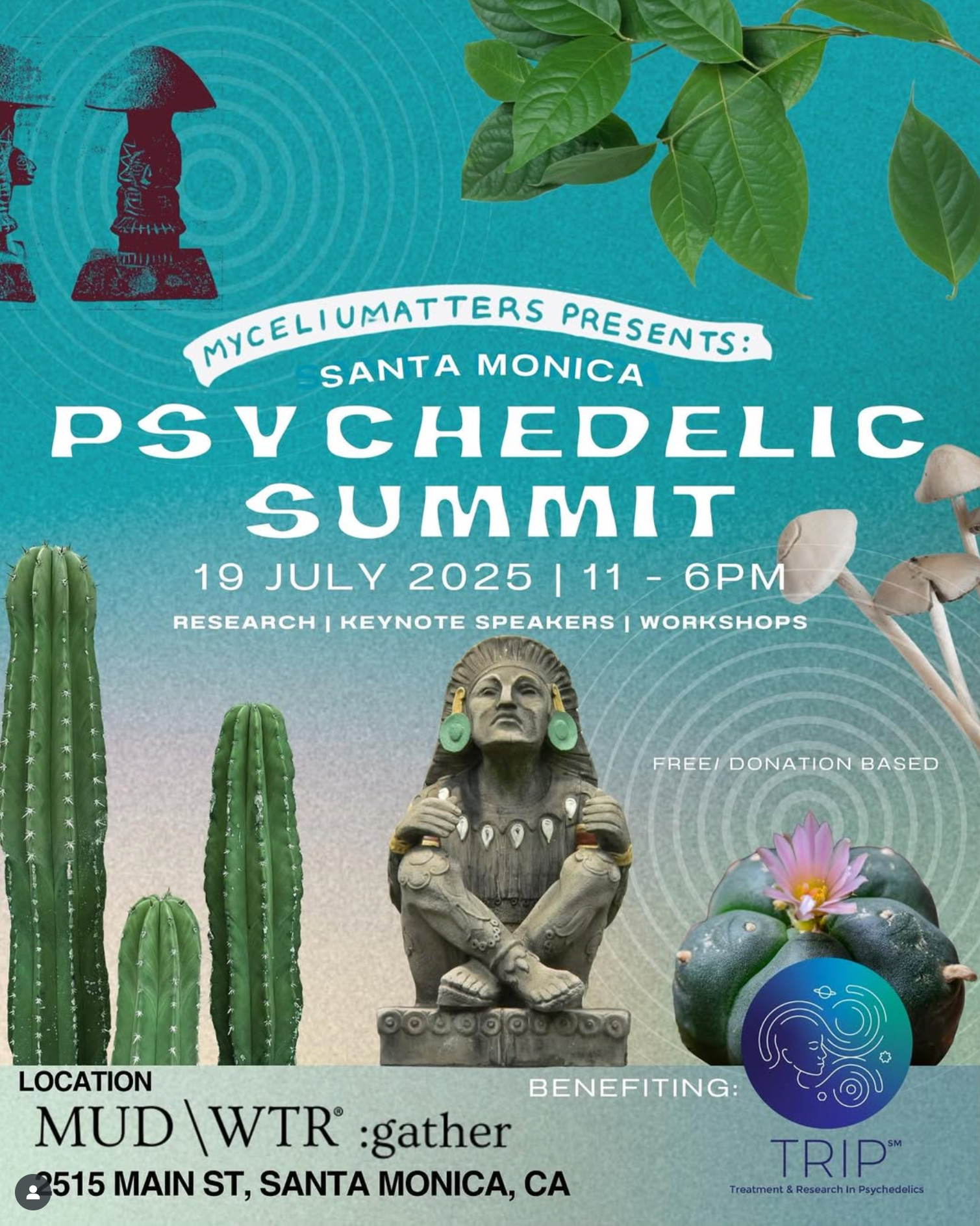 Santa Monica Psychedelic Summit: Back in Action
