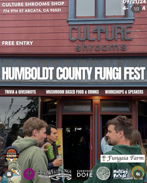 Humboldt County Fungi Fest 2024 – A Perfect Return to Humboldt
