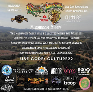 A Festival in Full Bloom: Mushroom Alley 2022