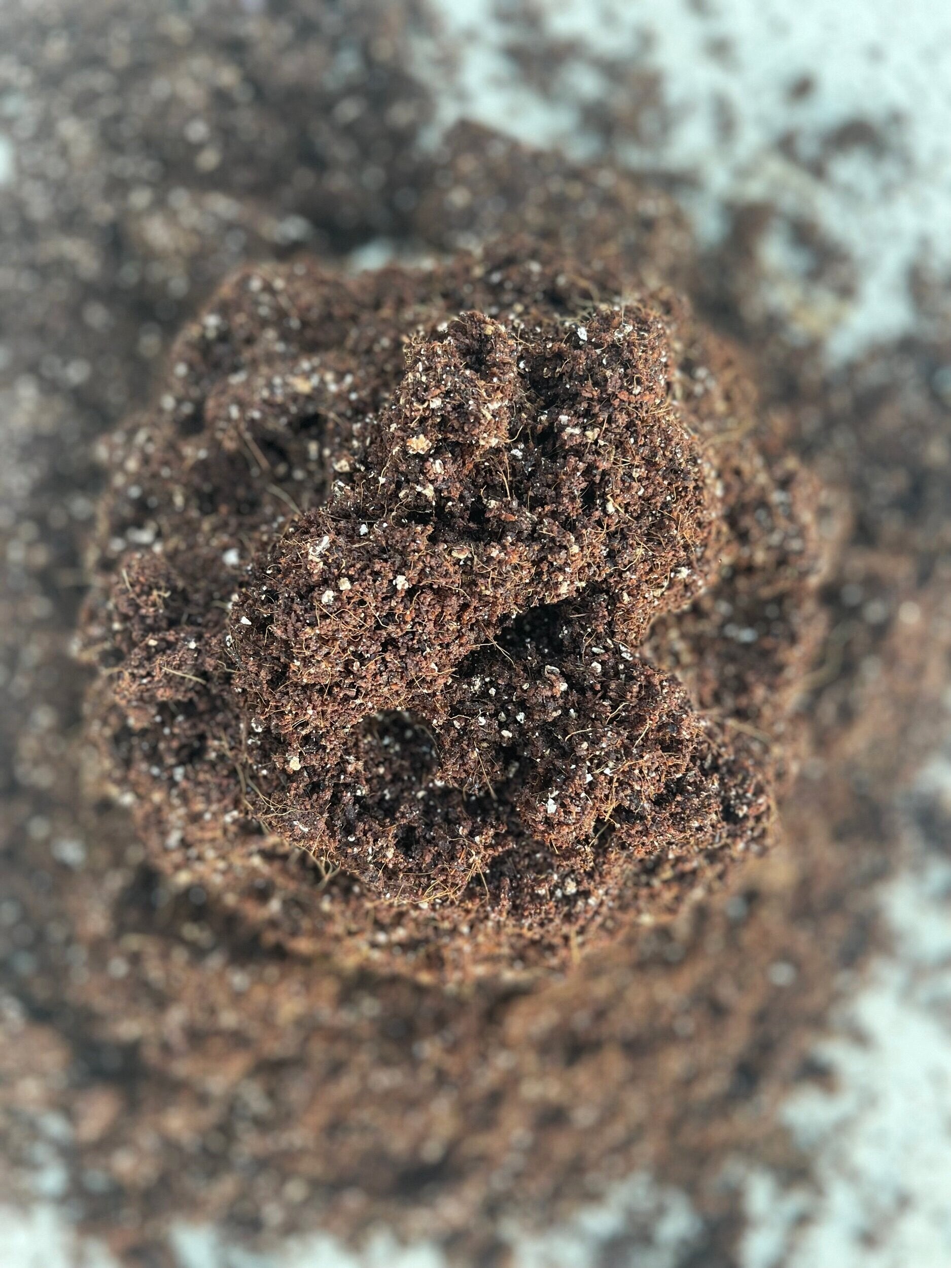 C.V.G Substrate Mix