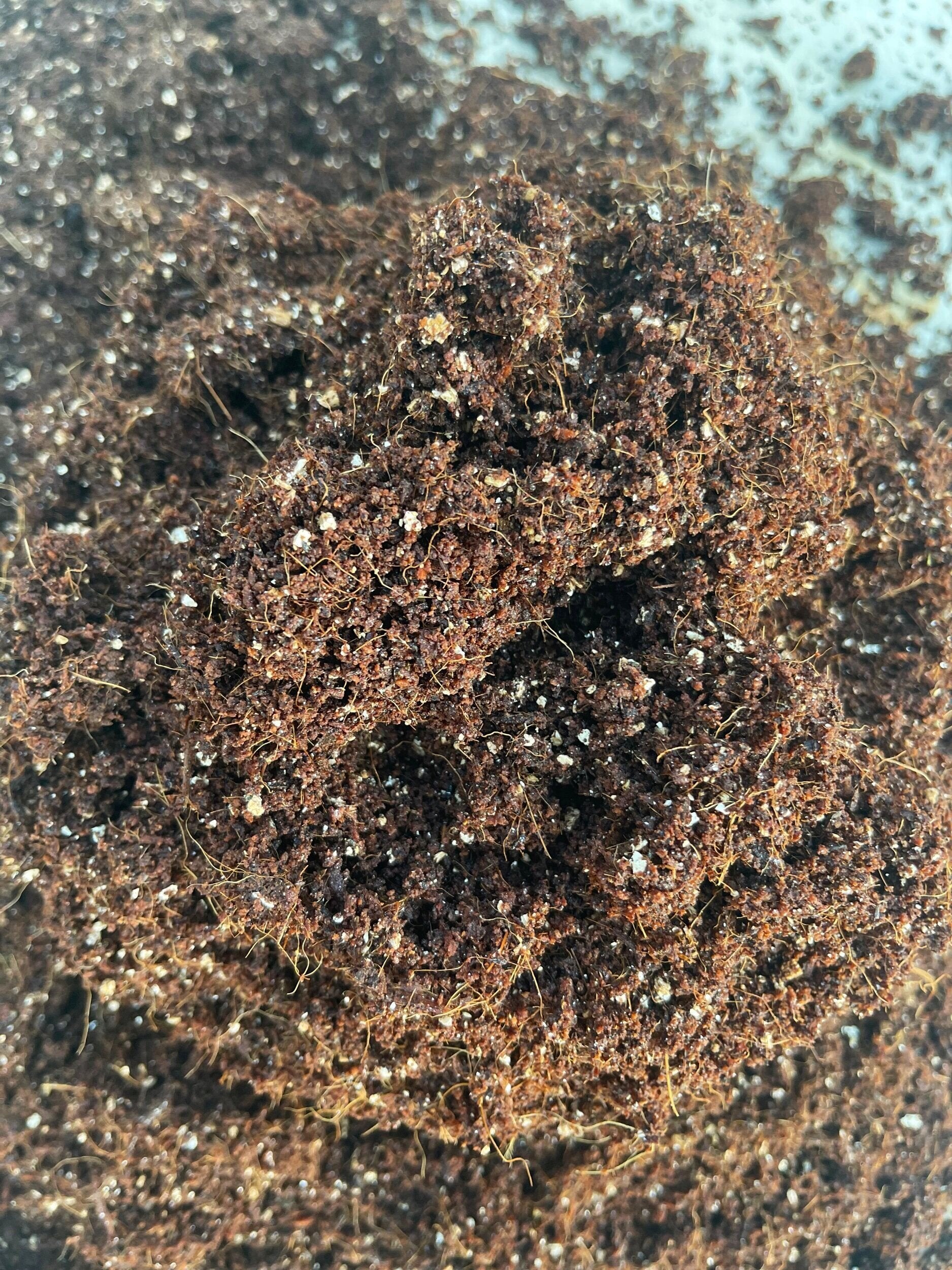 C.V.G Substrate Mix
