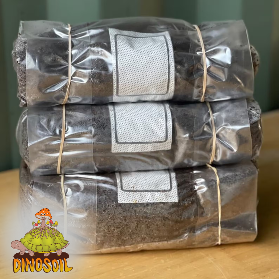 DinoSoil - Tortoise Manure-Enriched Substrate