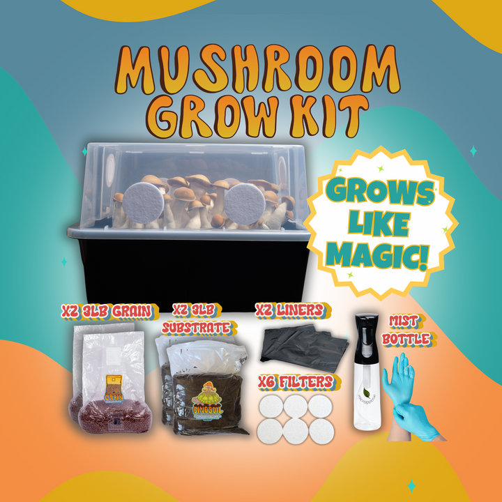 All-in-One Monotubs Kit for Beginners