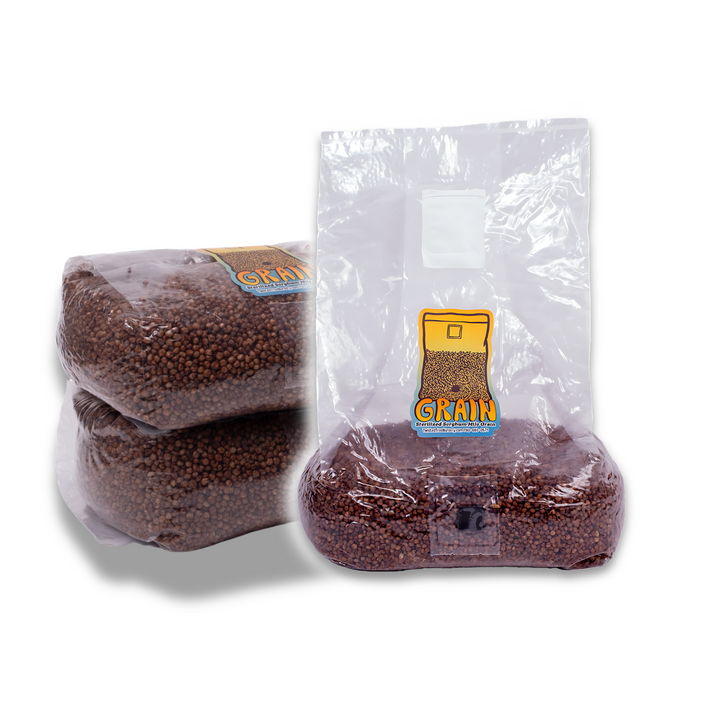 Sterilized Sorghum Milo Grain