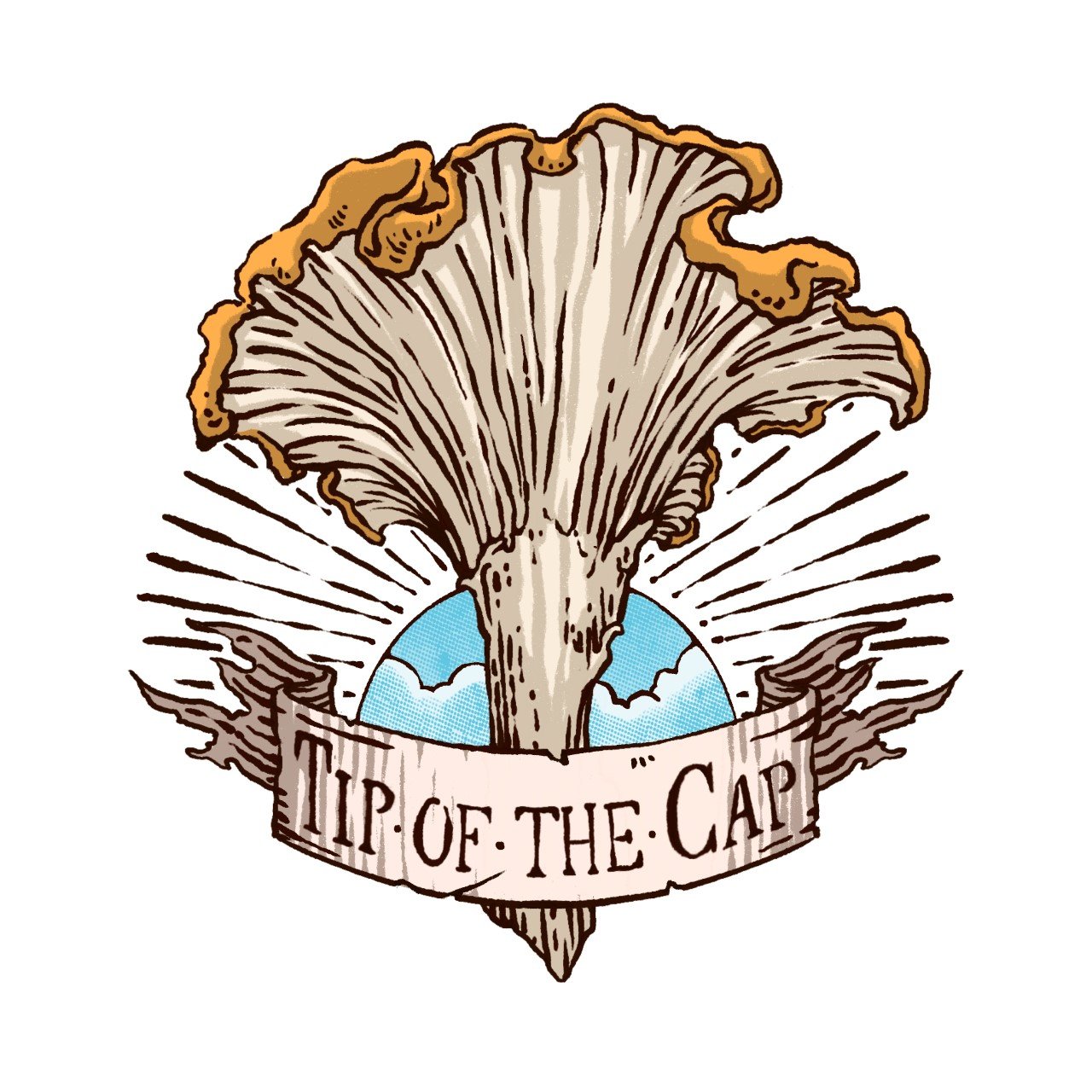 Tortoise, Donkey or Alpaca Manure Agar Plates