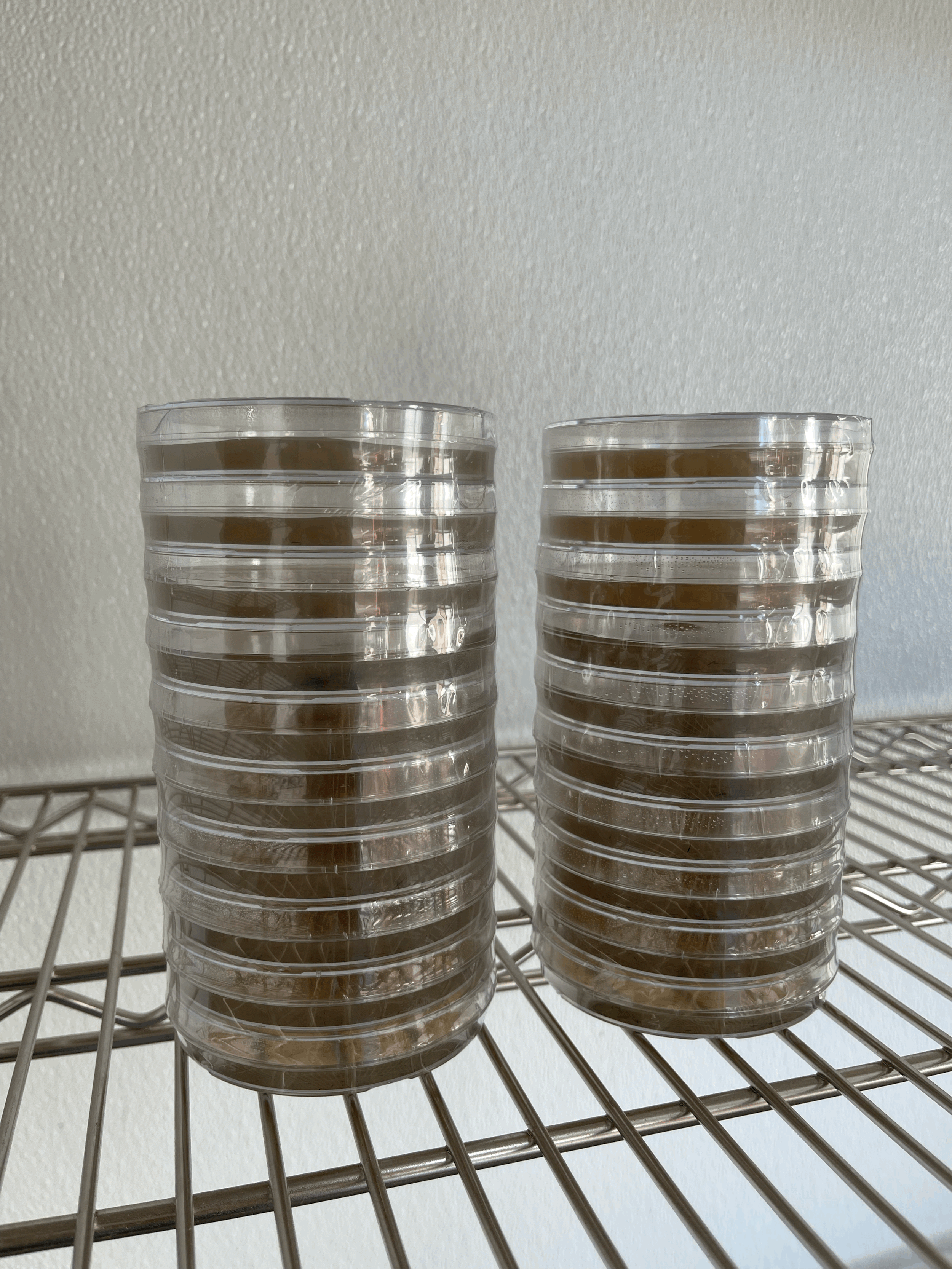 Tortoise, Donkey or Alpaca Manure Agar Plates