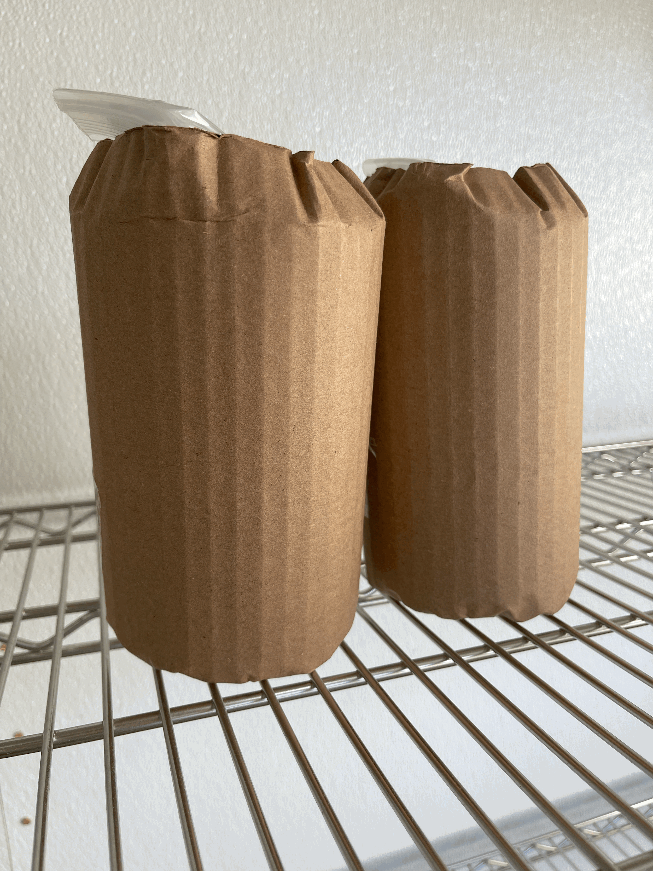 Tortoise, Donkey or Alpaca Manure Agar Plates